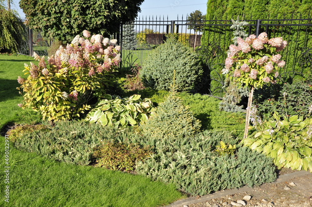 Landscaping of a garden plot. Flowers and plants in landscape design. Landscaping of a garden plot. Flowers and plants in landscape design.