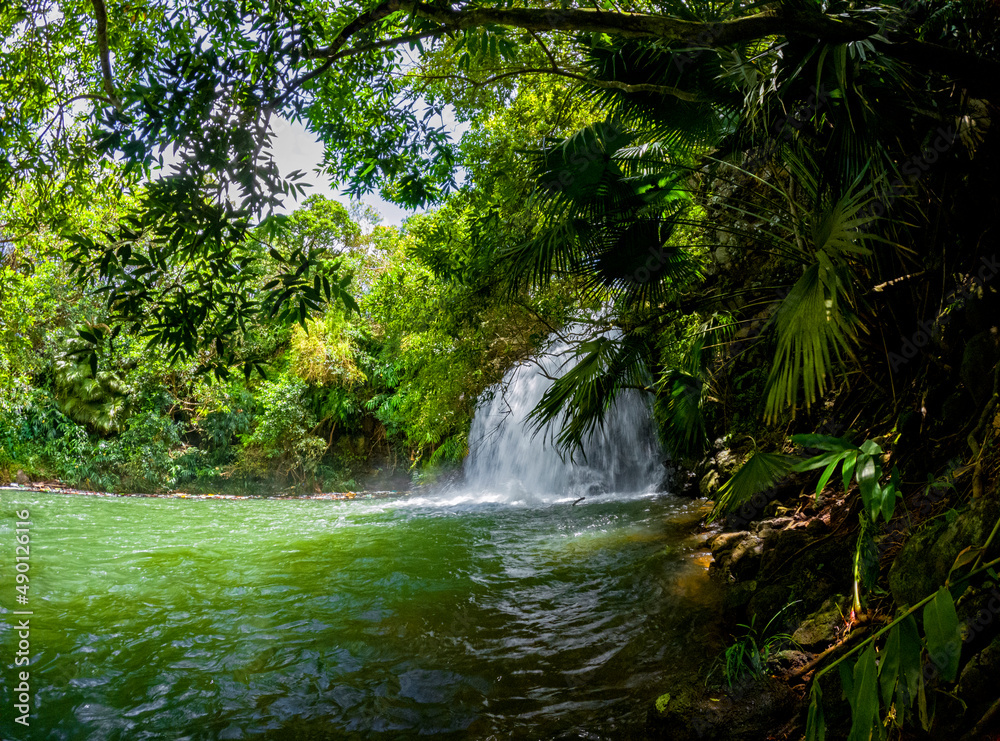 View of a hidden waterfall located in Mauritius View of a hidden waterfall located in Mauritius