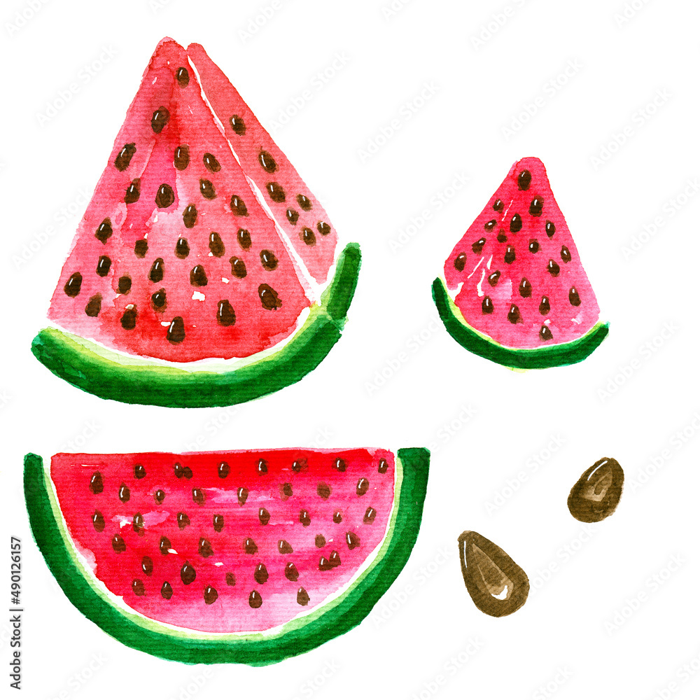 Watercolor juicy set of red pieces of watermelon. Watercolor juicy set of red pieces of watermelon.