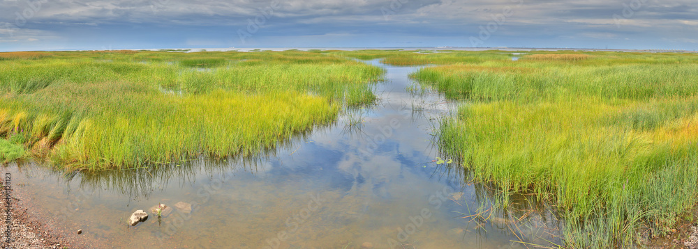 sky reflection in lake with green grass sky reflection in lake with green grass