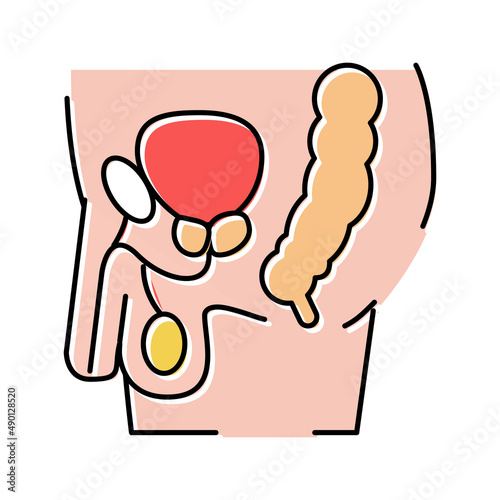 patient with prostate color icon vector illustration