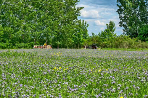 Beekeeper in the field