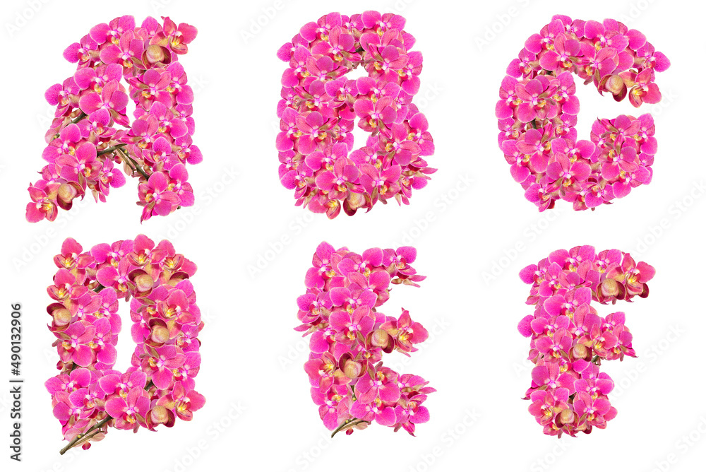 Letters collected and decorated from flowers of pink orchids Letters collected and decorated from flowers of pink orchids