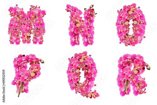 Letters of the alphabet consisting of flowers of pink orchids