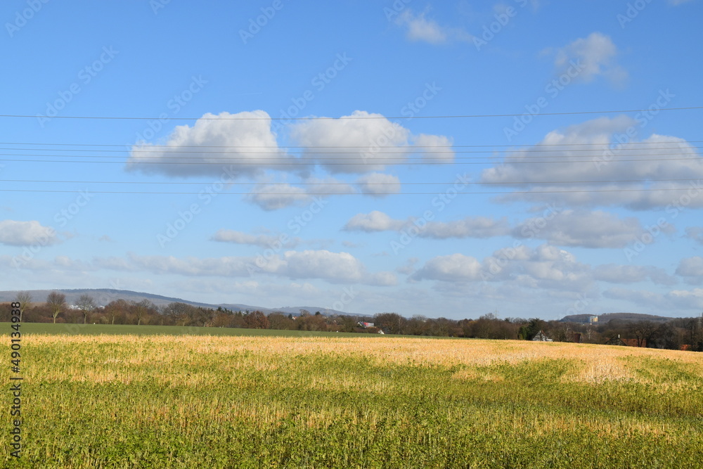 Obraz premium field and blue sky