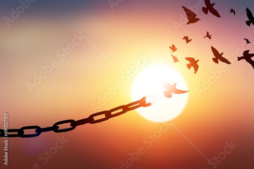 Concept of Freedom with chains breaking and free birds that flies away at sunset. Liberty Concept photo