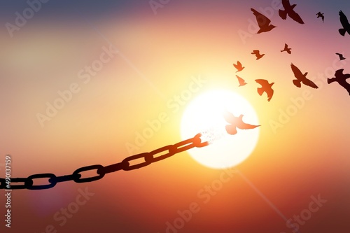 Photography Concept of Freedom with chains breaking and free birds that flies away at sunset
