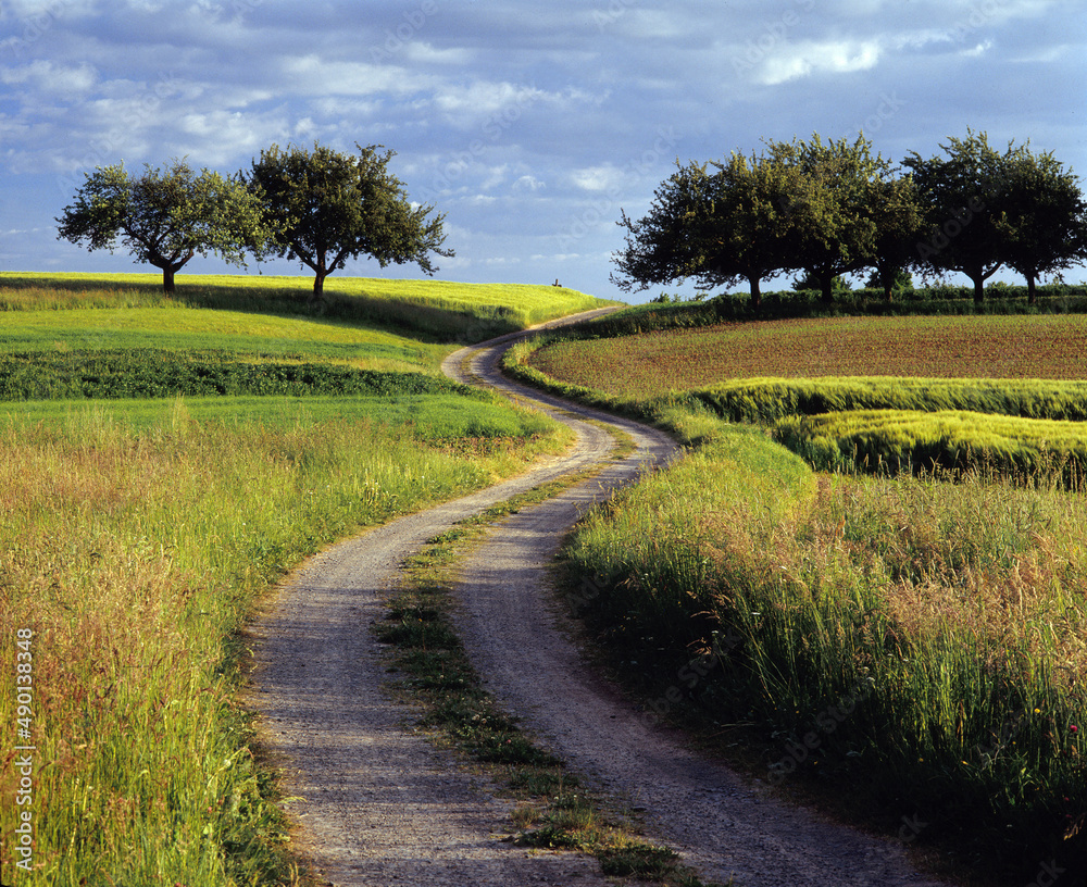 Obraz premium Feldweg im Odenwald