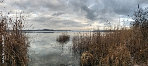 Blick auf den Simssee vom Ufer mit Schilf aus bei bew  lkten Himmer im Sp  therbst  Chiemgau  Bayern  Deutschland