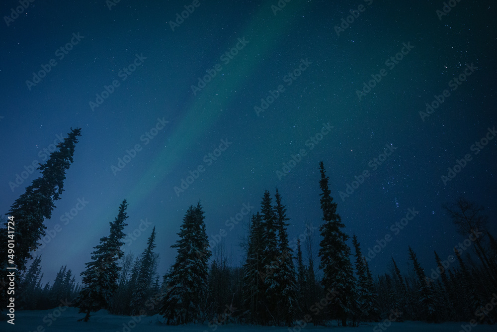 Fototapeta premium Aurora in Alaska