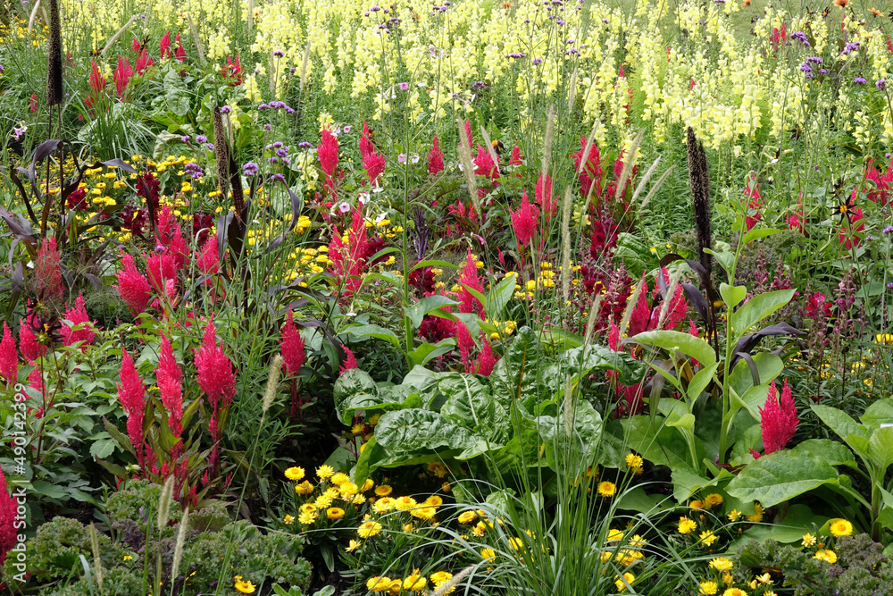 Obraz premium Sommerblumenbeet