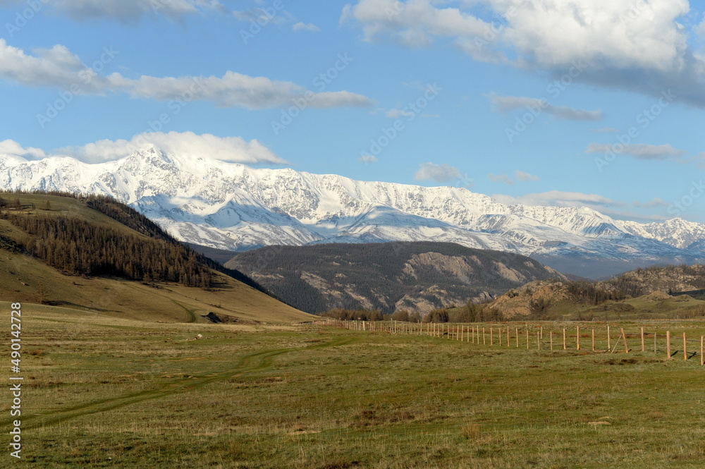 View of the North Chui mountain snow-covered ridge from the Kurai steppe. Gorny Altai, Kosh-Agachsky district, Russia