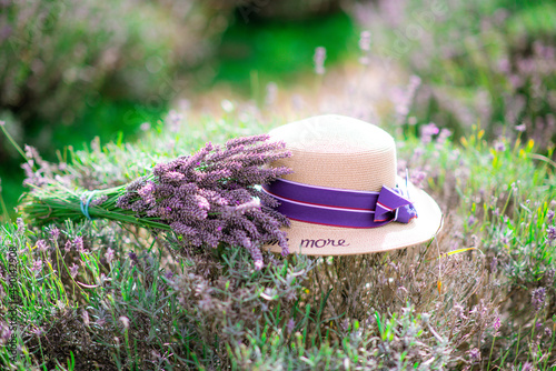 Lavender bouquet and a woman hat in lavender field