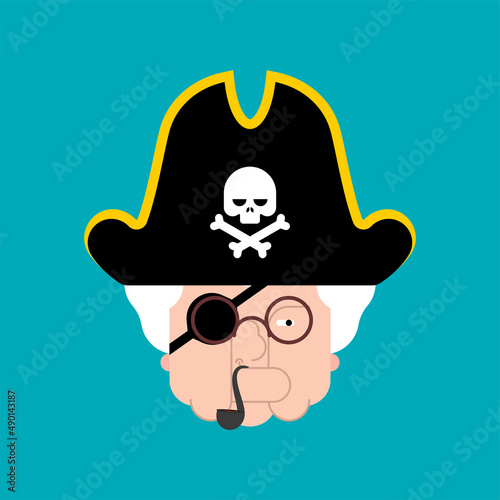 Grandmother Pirate. Grandma filibuster and parrot. Vector illustration