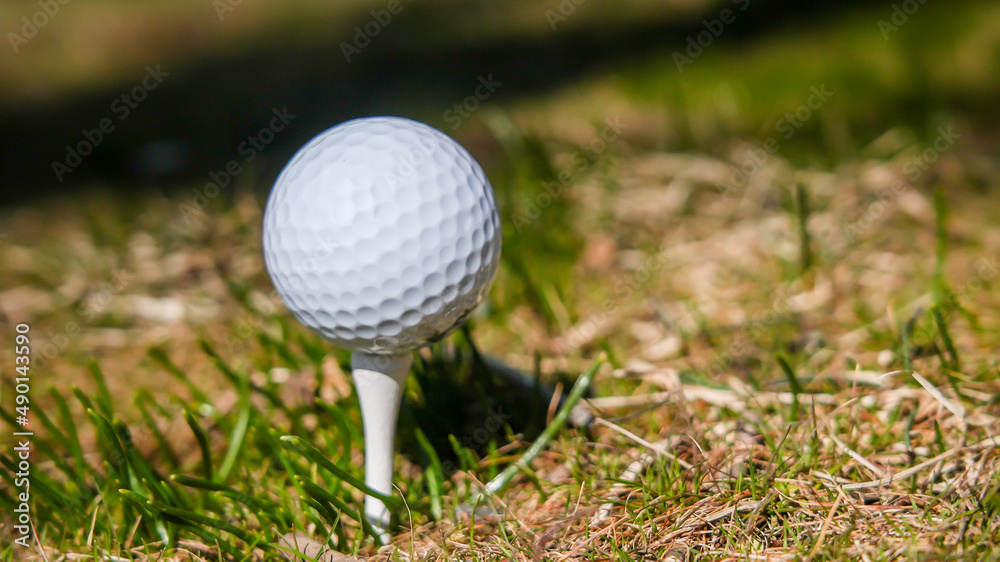 White golf balls with with consistent tee White golf balls with with consistent tee