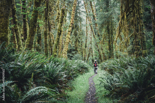Hiker on a trail through a moss covered temperate rainforest