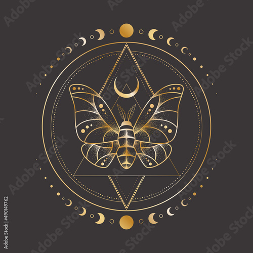 Vector mystic celestial sketch tattoo with golden outline insect, crescent and moon phases. Occult linear illustration with a magical butterfly. Sacred geometric background with a moth