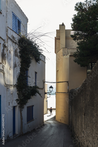 Fototapeta Naklejka Na Ścianę i Meble -  Beautiful little side streets in the small town of Cadaques in Spain