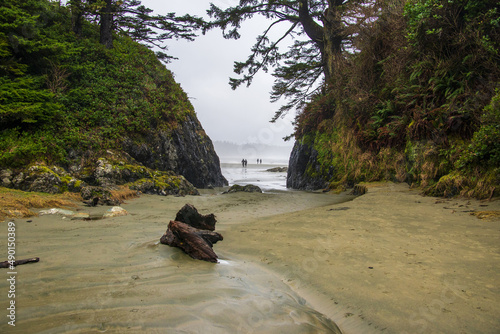 Tofino BC Vancouver Island in Canada under a storm photo