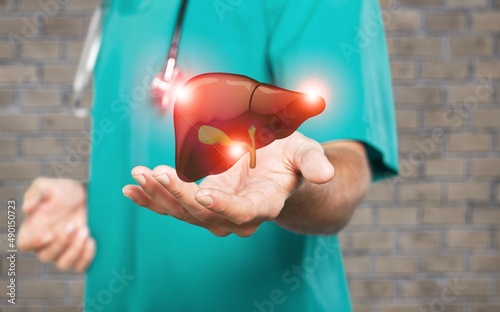 A doctor touches virtual Liver in hand.  Healthcare hospital service concept