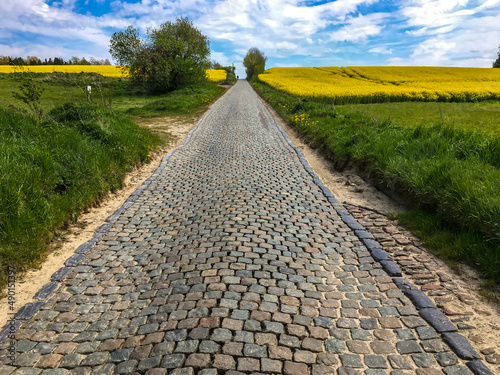 cobblestone road through a field of yellow canola rapeseed flowers under a deep blue sky, Belgium, Europe