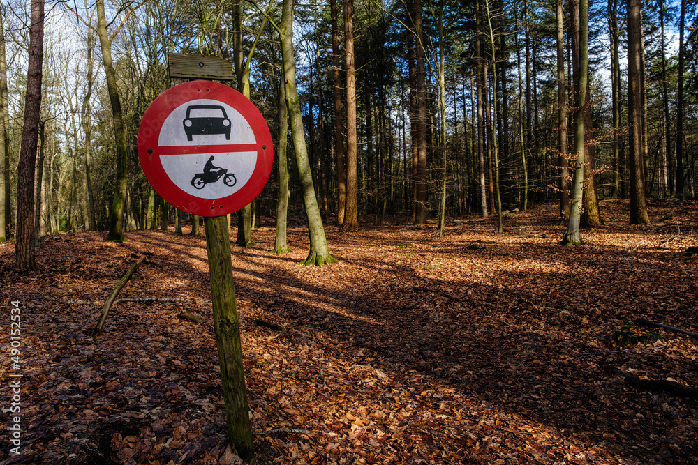 Naklejka premium Leuvenumse bossen, Hulshortserzand