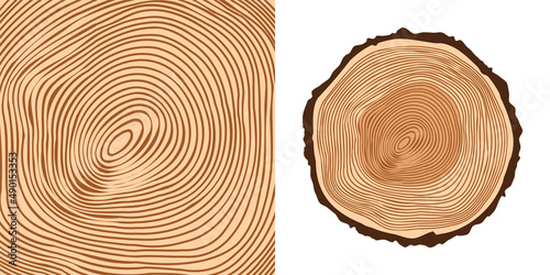 Round tree trunk cut, sawn pine or oak slice. Saw cut timber, wood. Brown wooden texture with tree rings. Hand drawn sketch. Vector illustration