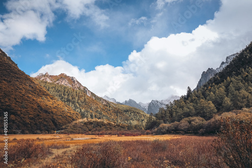 Beautiful view of Yading Chonggu meadow in Daocheng, Ganzi, Sichuan, China photo