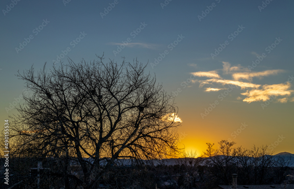 An incredibly beautiful winter sunset against the tree branches in Colorado