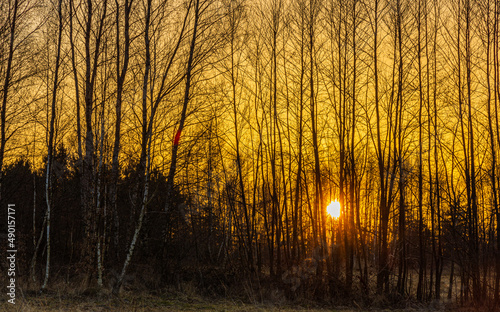 Fototapeta Naklejka Na Ścianę i Meble -  Zachód słońca