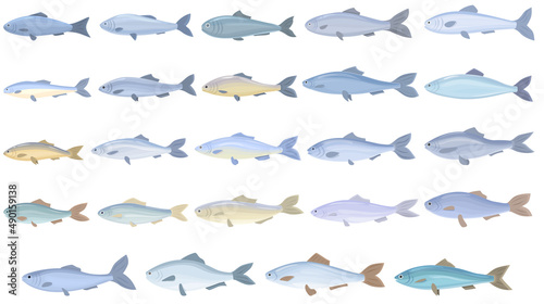 Herring icons set cartoon vector. Cod fish. Water trout