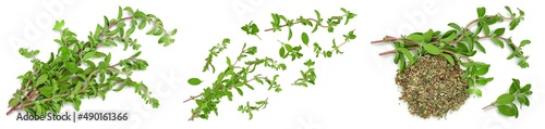 Oregano or marjoram leaves fresh and dry isolated on white background. Top view. Flat lay. Set or collection