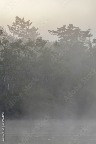 Photo of a lake shoreline clouded in mist with the sun rising behind a forest canopy