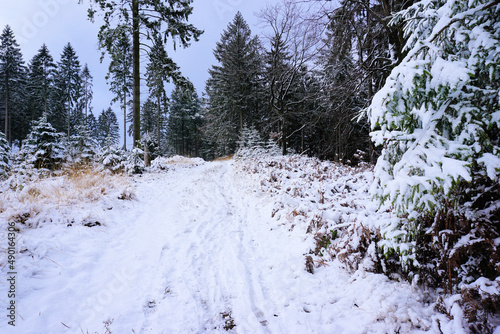 Tableau sur toile verschneite Winterlandschaft im Hils bei Delligsen