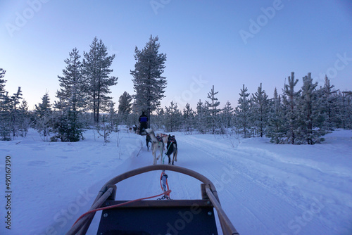 Canvastavla Eine Hundeschlittenfahrt in der Region Kittilä in Finnland