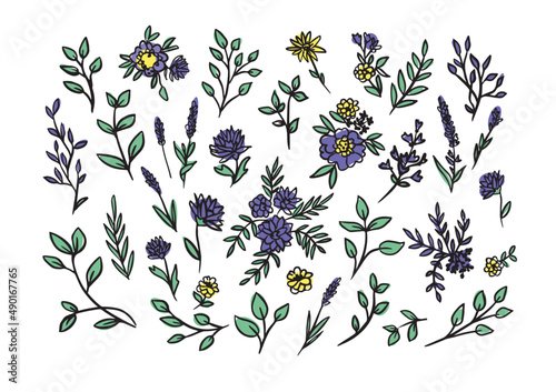 Vector hand drawn big collection with wild and medicinal herbs. Hand drawn botanical sketch with plants and flowers in color.For printing, cards, packaging.Different flowers on white background.