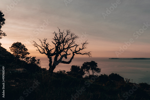 Mesmerizing sunset over the sea in the evening in summer photo