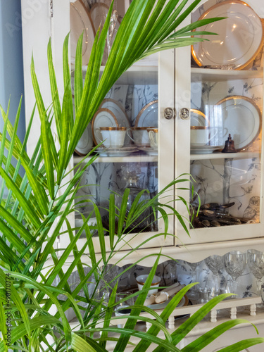 palm tree and retro china cabinet, green spaces