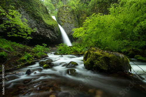 waterfall in the forest
