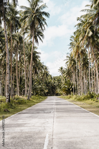 Beautiful view of a road with palm trees in Cebu, Bantayan photo