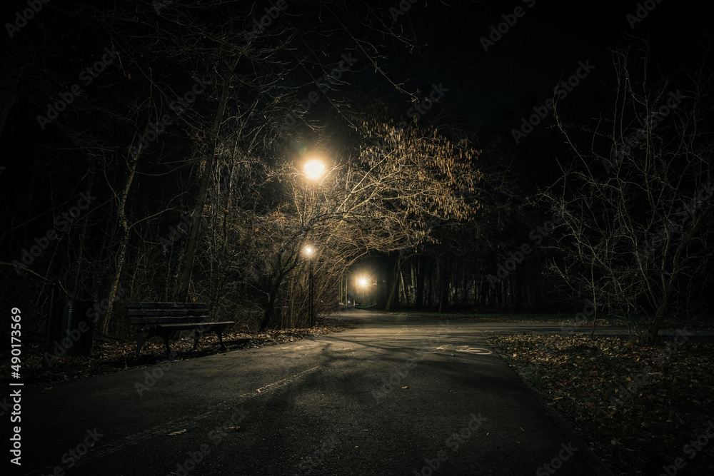 ciemny ponury park w nocy z alejką i latarniami - obrazy, fototapety, plakaty 
