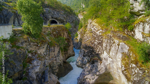 Closeup of a small pond in the forest