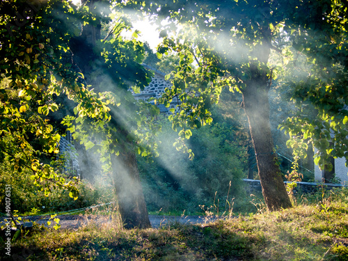 Light beams through the trees in Haute Loire France photo