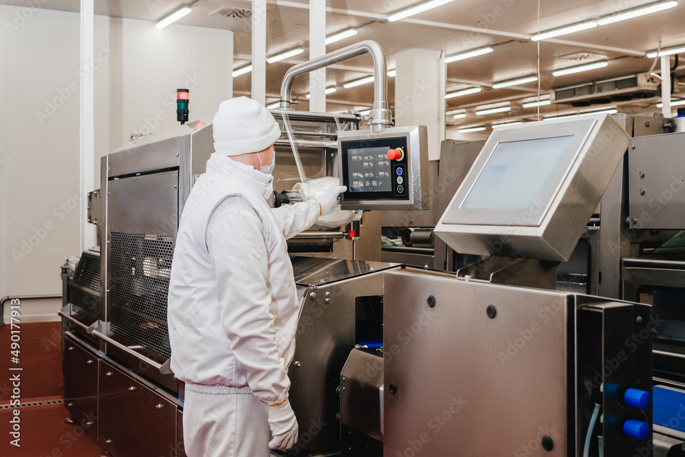 Line for the production of semi-finished meat products.Factory for the ...