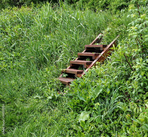Short wooden staircase leading up overgrown grassy hill, after a rain.
