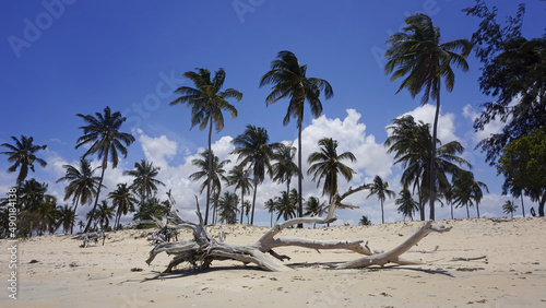 Beautiful shot of a beach in Pemba, Mozambique photo