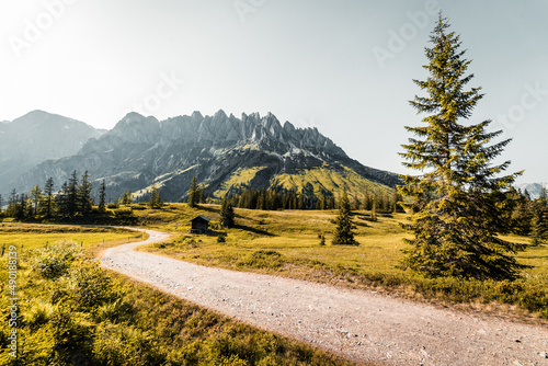 Path in a sunny mountainous countryside area with growing coniferous trees photo