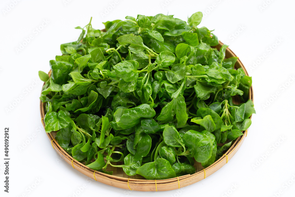 Watercress in bamboo plate on white background Watercress in bamboo plate on white background