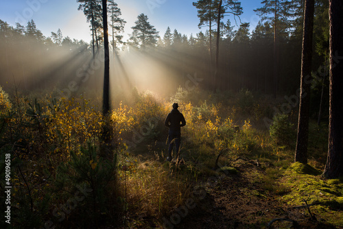 Fototapeta Naklejka Na Ścianę i Meble -  Scenic view of a man walking on a foggy forest
