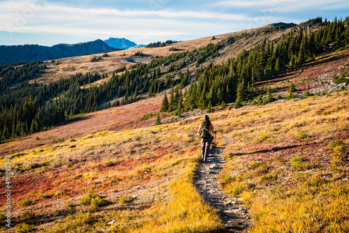 Hiker crossing a red and gold colored meadow in the mountains of Olympic National Park in fall